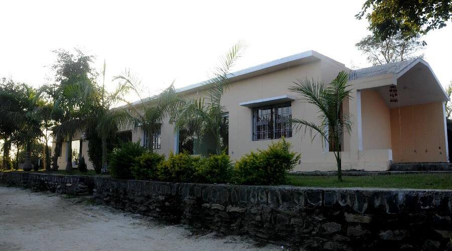 Resort Palm Pair, Jabalpur 1